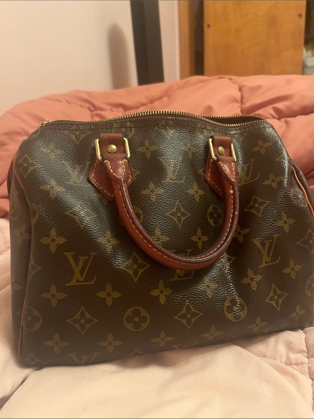 Louis Vuitton Monogram Canvas Speedy